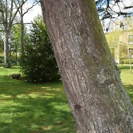 D'hotes Le Clos Des Marronniers 住宿加早餐酒店